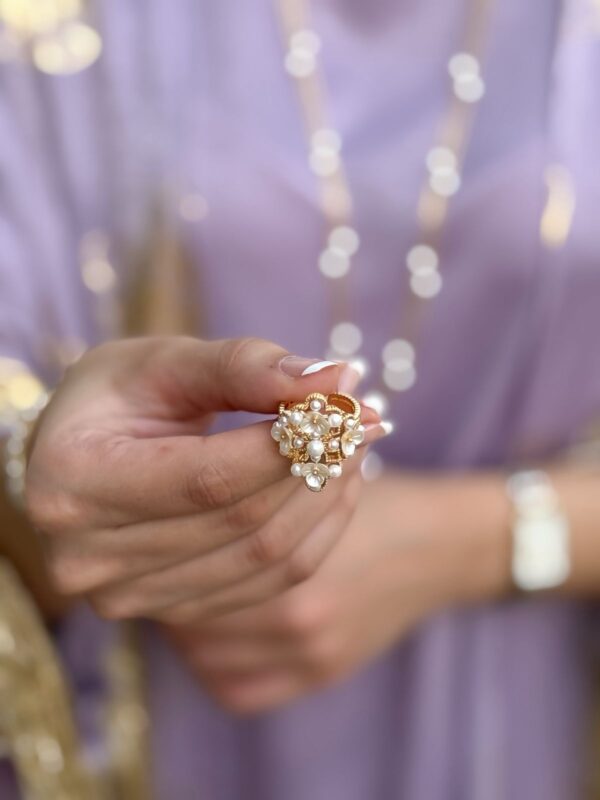 WhatsApp Image 2026-01-06 at 5.53.33 PM